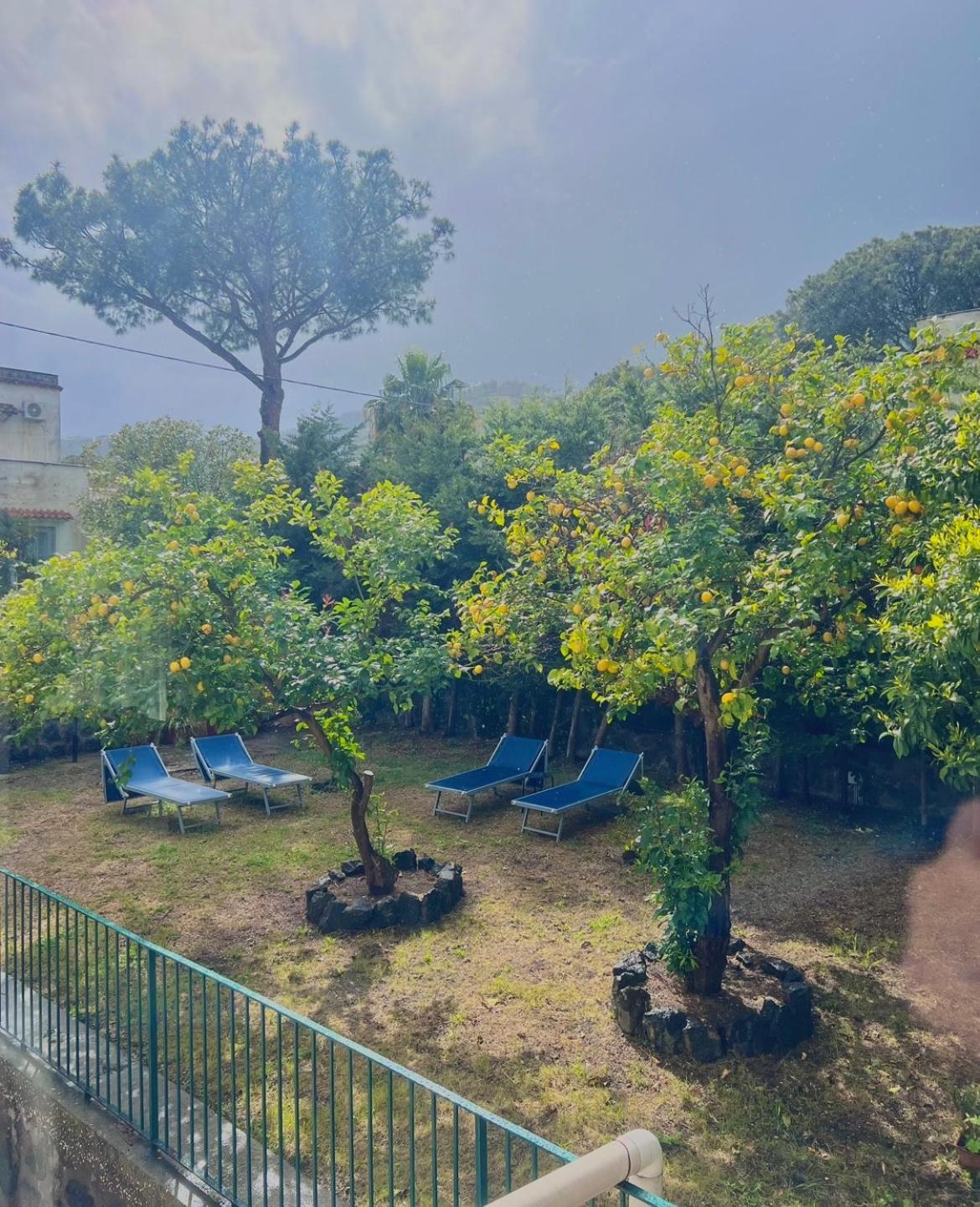 Ada Daire Ischia